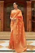 organza saree