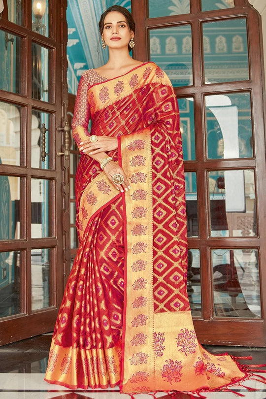 organza saree