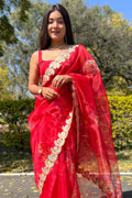 organza saree