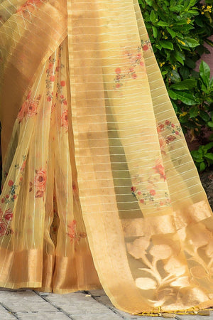 organza saree