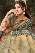 organza saree