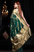 organza saree with zari border