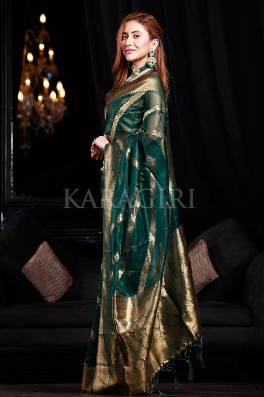 organza saree
