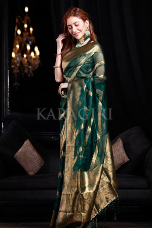 Watermelon Green Organza Silk Saree