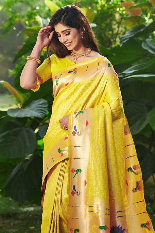 fancy saree