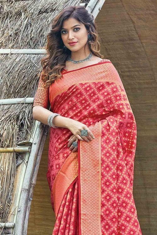 Radical Red Printed Patola Saree
