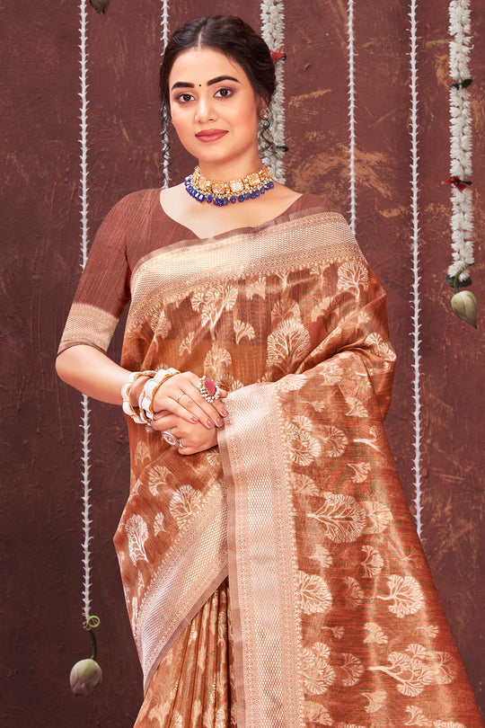 Chocolate Brown Organza saree