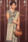 Pewter Grey Organza saree