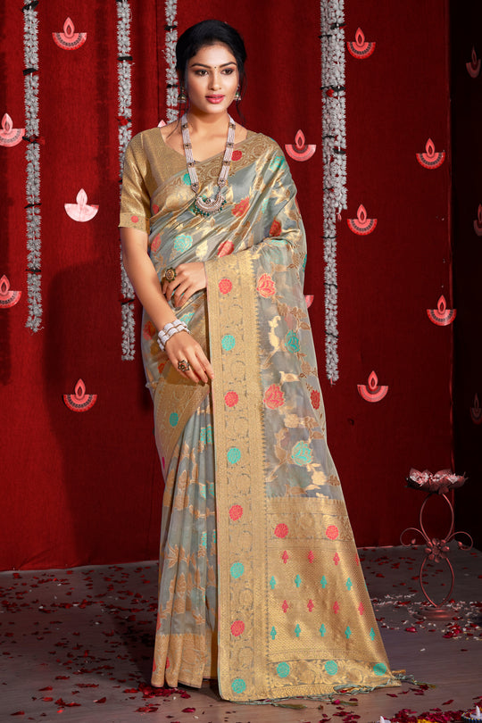 Coin Grey Organza Saree