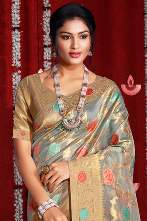 Coin Grey Organza Saree