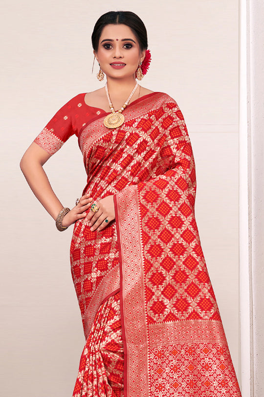 Tart Red Patola Silk Saree