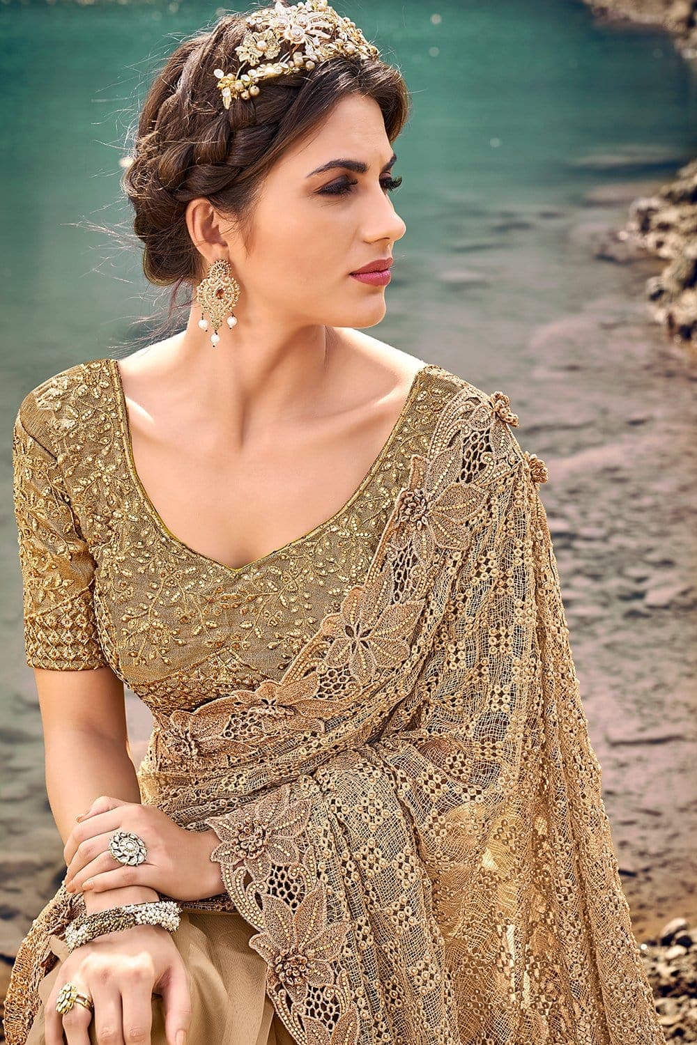 Saree Chikoo Brown Designer Embroidered Net Saree With Embroidered Blouse - Wedding Wardrobe Collection saree online