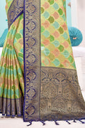 Green And Blue Organza Saree