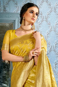 fancy saree